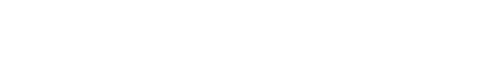 NG Immigration & Services LLC